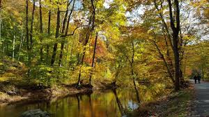 Fall foliage along a creek path near Media, PA